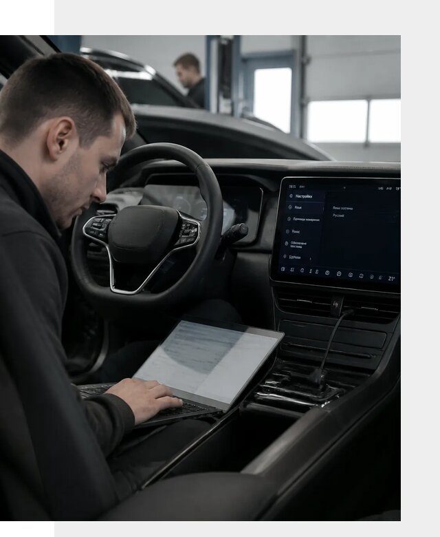 Русификация автомобилей BYD под ключ для всех моделей в Донецке
