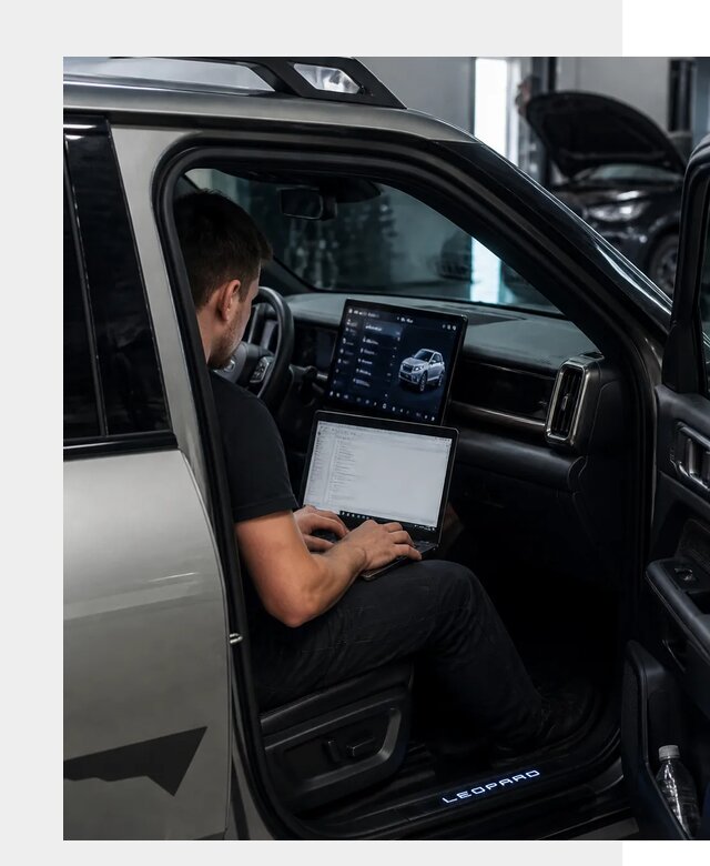 Русификация BYD Leopard 3 в Донецке по цене от 21787 р. | ФастМобиль-Днк